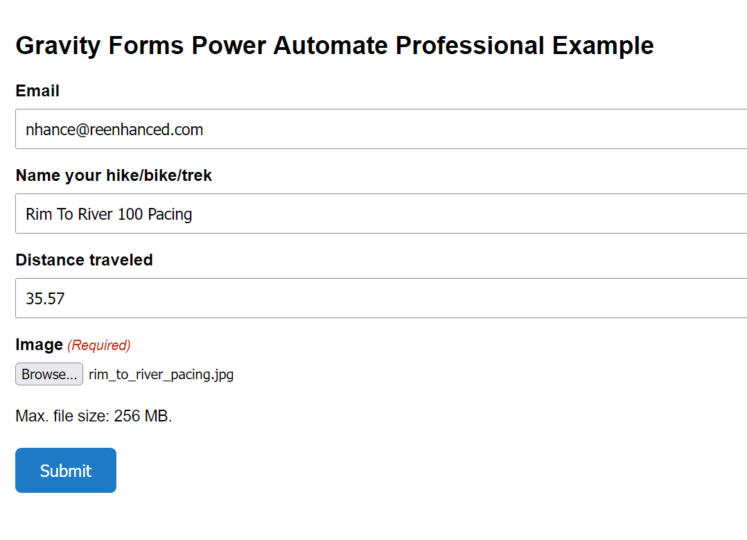 Gravity Forms Example filled out
